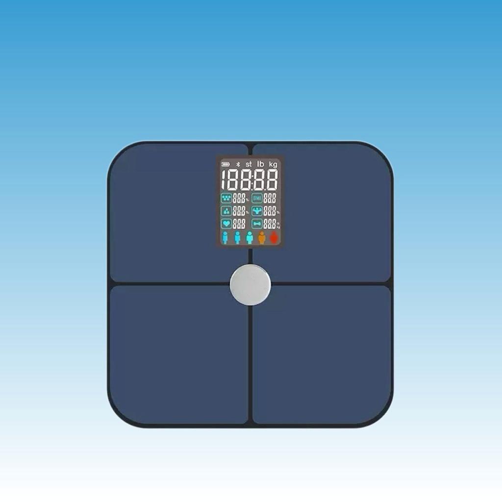 body fat scale-1.jpg